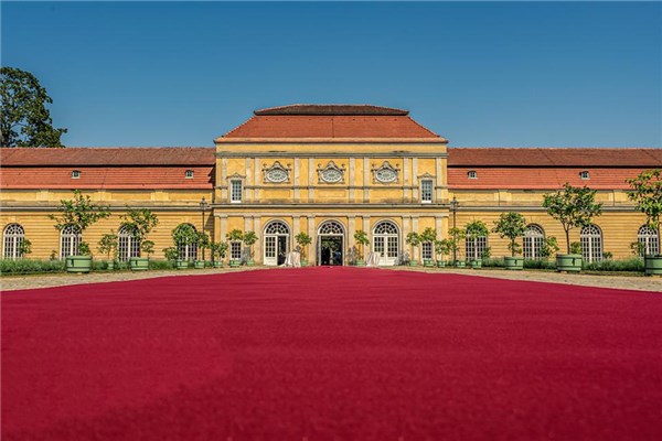 夢見紅毯是什麼預兆？_周公解夢