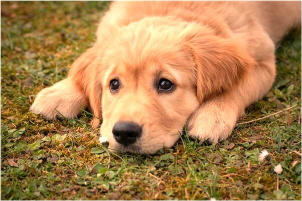 夢見抱著前妻是咋回事_周公解夢官網