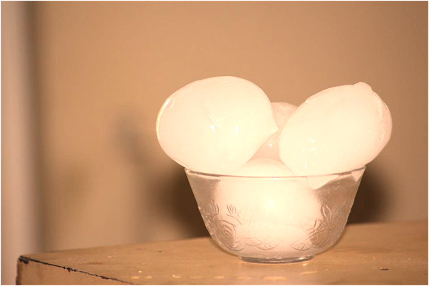 夢見左面鼻子扣出兩條蟲子怎么說_周公解夢官網