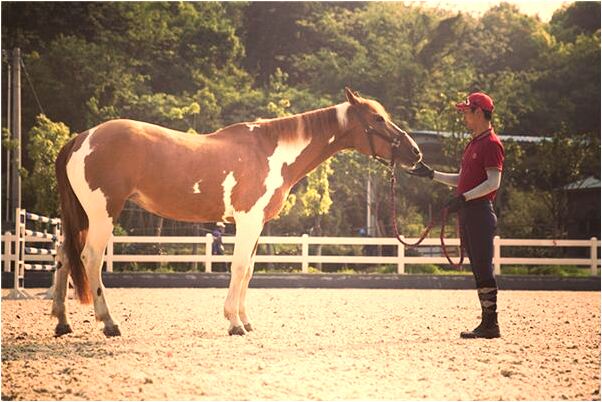 夢到頭上裹了白色紗布是好事還是壞事_周公解夢官網
