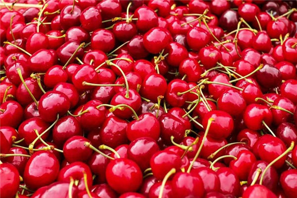 夢見櫻桃是什麼意思_周公解夢