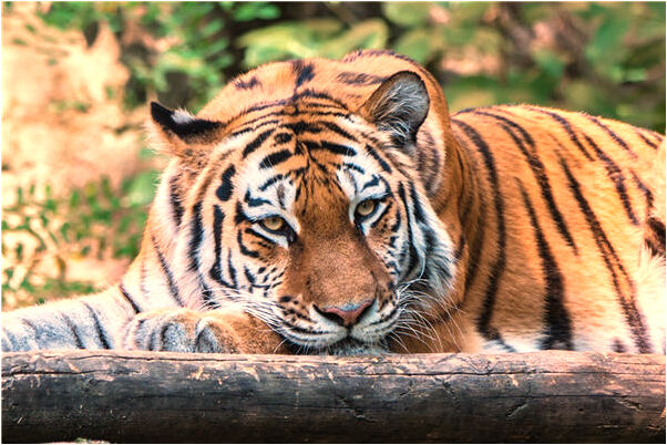 夢到了自已拿了別人的錢代表著什麼_周公解夢官網