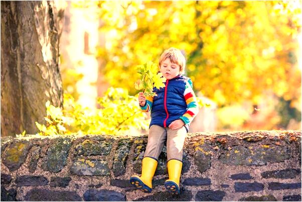 夢到了白菜被人偷了有什麼預示嗎_周公解夢官網