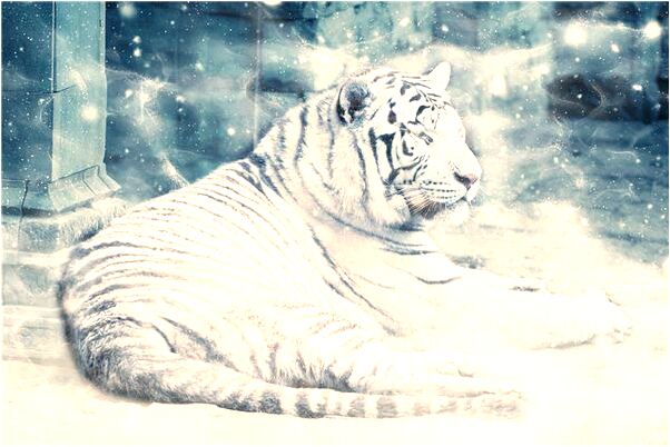 夢到了幫朋友幹活是什麼預兆_周公解夢官網