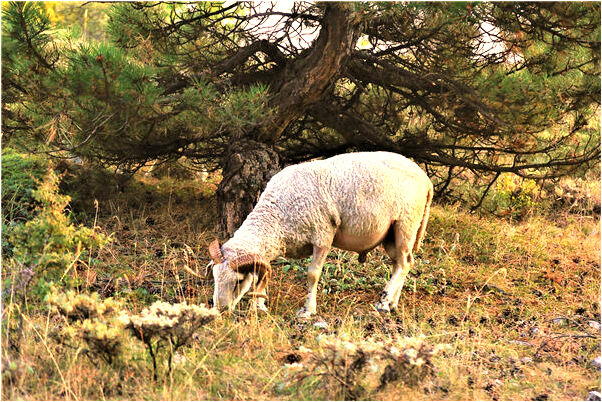 夢見熟悉的人向自己表達愛意代表著什麼？_周公解夢官網
