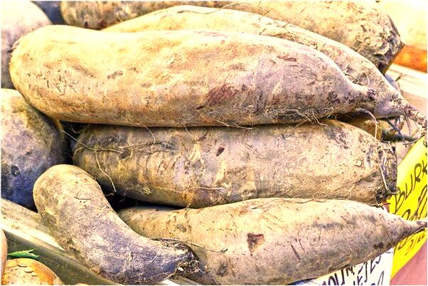 夢到上口牙全掉了稍有流血意味著什麼_周公解夢官網