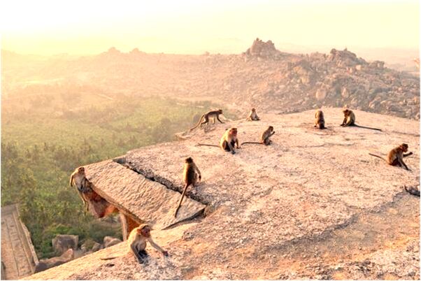 夢到蘭景芬是什麼兆頭_周公解夢官網