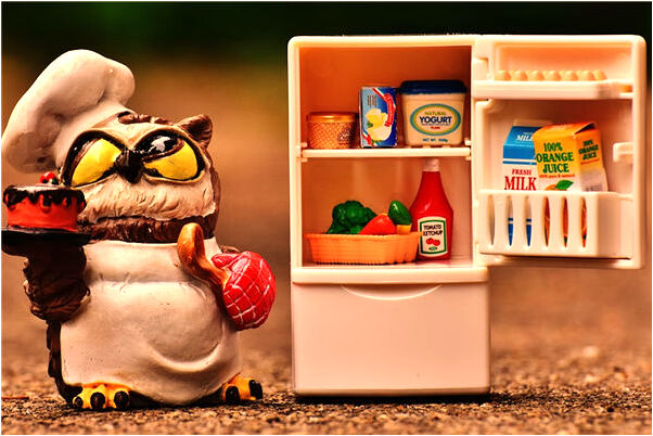 夢見追兩頭馬怎么回事_周公解夢官網