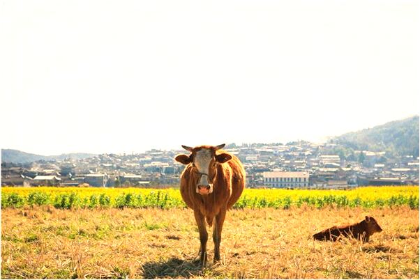 夢見和閨蜜一起看電影的預兆_周公解夢官網