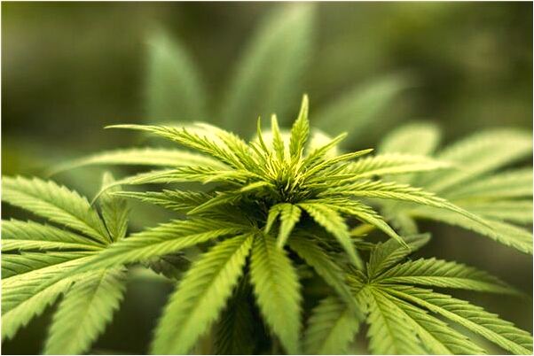 夢到將學校門頭刷成紅色有什麼寓意嗎_周公解夢官網