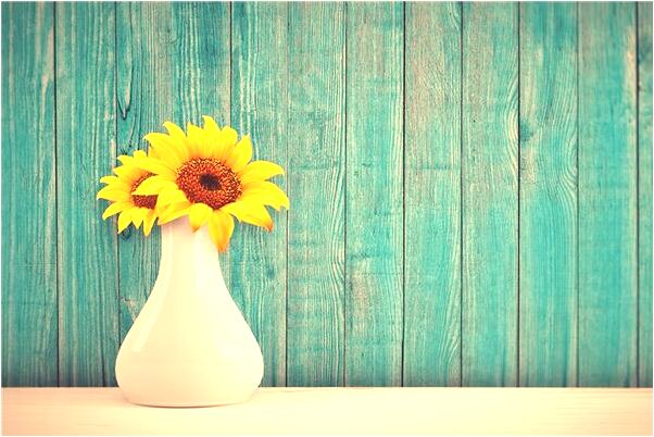 夢到入廁所預示什麼_周公解夢官網