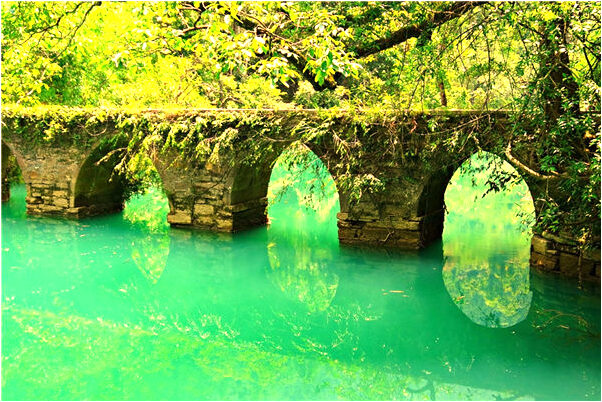 夢到了四隻畫眉鳥飛了兩隻有什麼說法_周公解夢官網