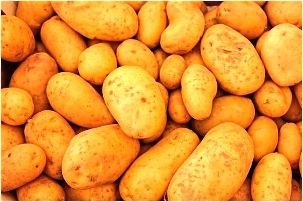 夢到了身邊兩條黑蛇被嚇走有什麼預示嗎_周公解夢官網