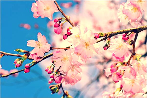 夢到了有人闖進我的房間有什麼寓意嗎_周公解夢官網