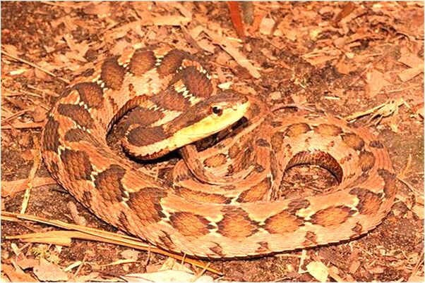 夢見找地方睡覺是好事還是壞事_周公解夢官網