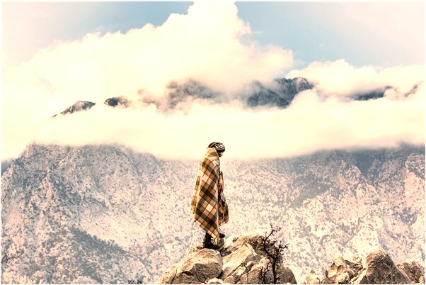 夢見拉了一車黃瓜是什麼預兆？_周公解夢官網