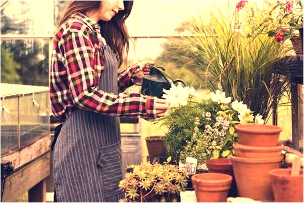 夢到了用車送死人預示了什麼_周公解夢官網