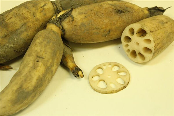 夢見蓮藕是什麼意思_周公解夢