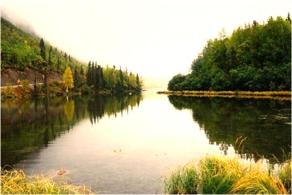 夢見忘帶錢有什麼寓意嗎_周公解夢官網