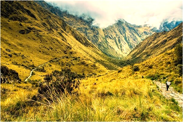 夢到了已懷孕懷雙胞胎意味著什麼_周公解夢官網