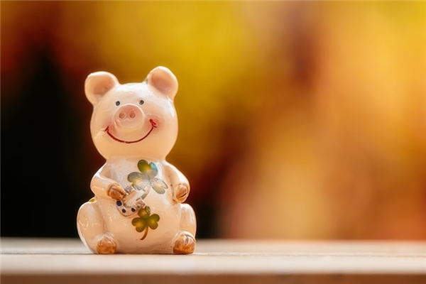 夢見母豬發情預示著什麼_周公解夢