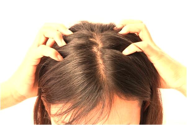 夢到海瓜子是什麼預兆?_周公解夢官網