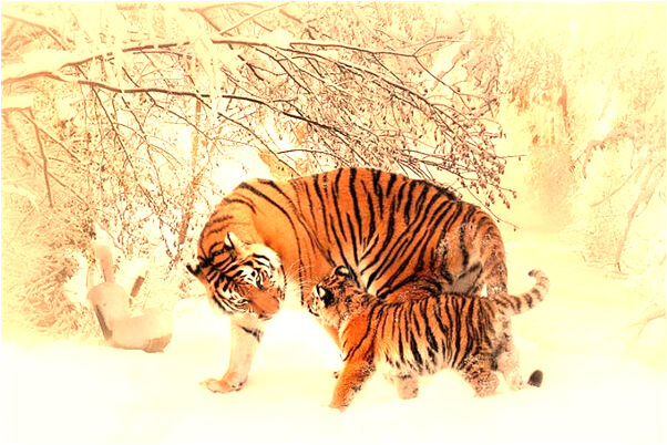 夢見美女露胸預示著什麼_周公解夢官網