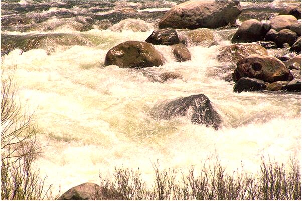 夢見水澆地有什麼意義嗎_周公解夢官網