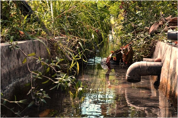 夢見手機丟了但是手機號沒丟是什麼兆頭_周公解夢官網