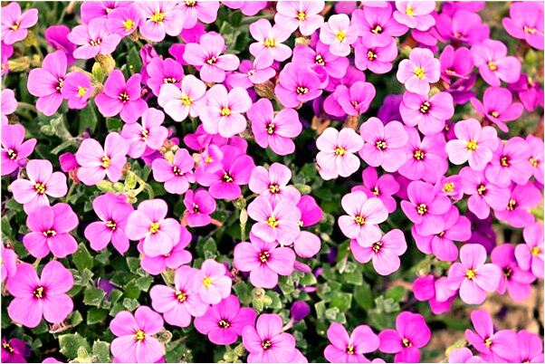 夢見前男友家裡死人了是什麼預兆_周公解夢官網