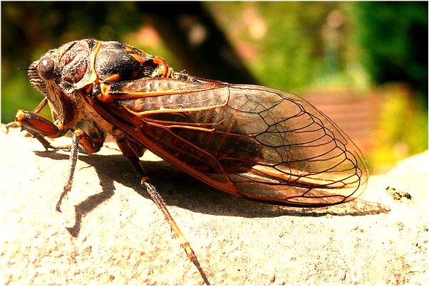夢到了單位買電視和同事一起湊錢有什麼意義嗎_周公解夢官網