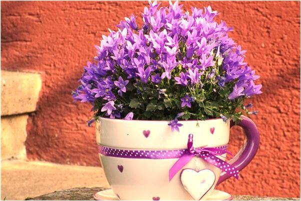 夢見抱著吃奶的小男孩有什麼寓意嗎？_周公解夢官網