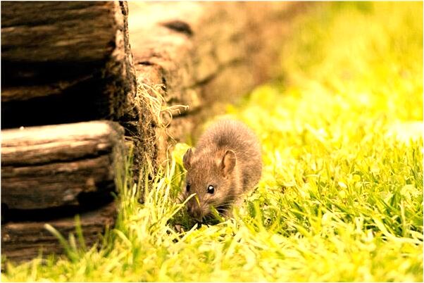 夢到我女朋友旅遊是啥意思_周公解夢官網