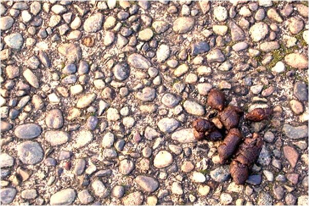 夢見小寶寶洗澡怕燙著他是什麼意思_周公解夢官網