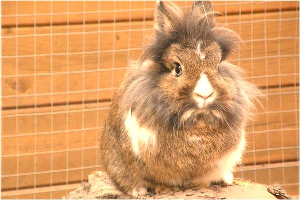 夢見雨中騎車和戀人相見是咋回事_周公解夢官網