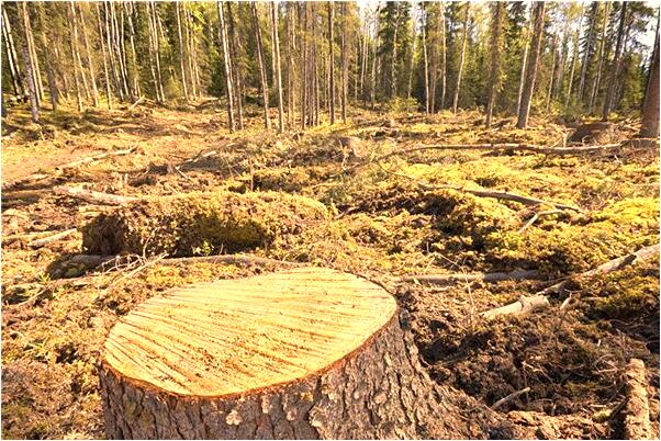 夢到了舅媽一直叫意味著什麼_周公解夢官網