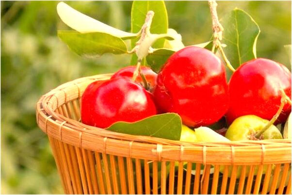 夢到爬平屋會有什麼預兆_周公解夢官網