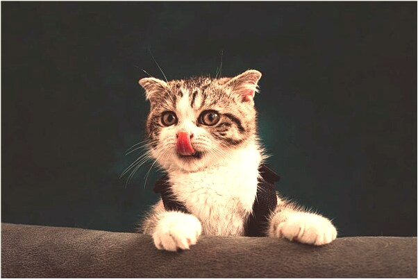 夢到了前男友父親送我項鍊有什麼寓意嗎？_周公解夢官網