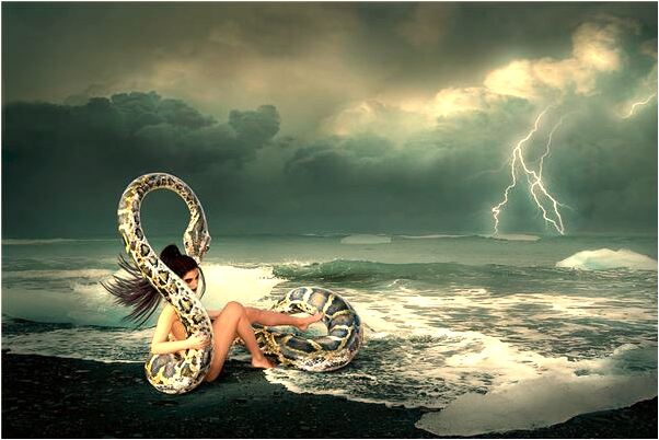 夢到了公牛鬥爭有什麼寓意嗎？_周公解夢官網