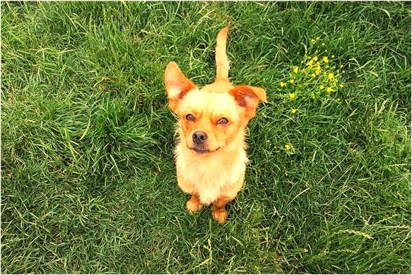 夢見橋塌了死人有什麼意思嗎_周公解夢官網