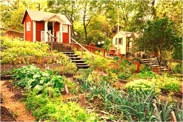 夢到了在宿舍掛燈意味著什麼_周公解夢官網