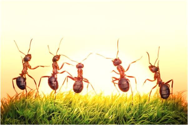 夢到了考試時間到了預兆了什麼嗎_周公解夢官網