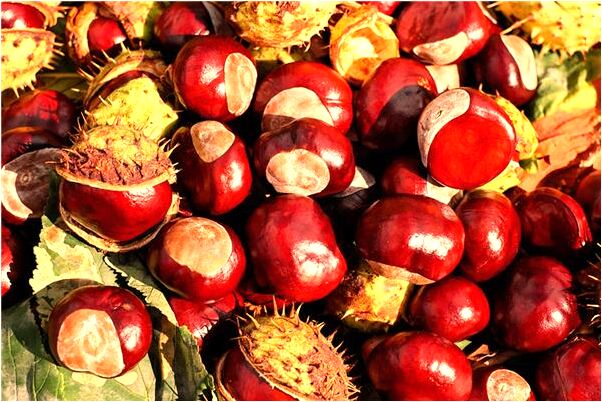 夢到給人鞠躬代表著什麼？_周公解夢官網