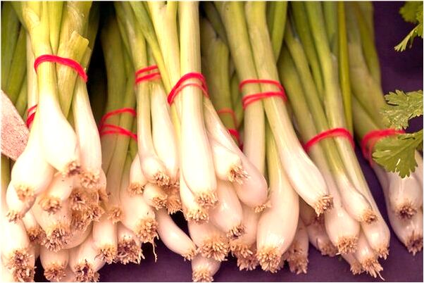 夢到屋裡地下水流走有什麼意思嗎_周公解夢官網