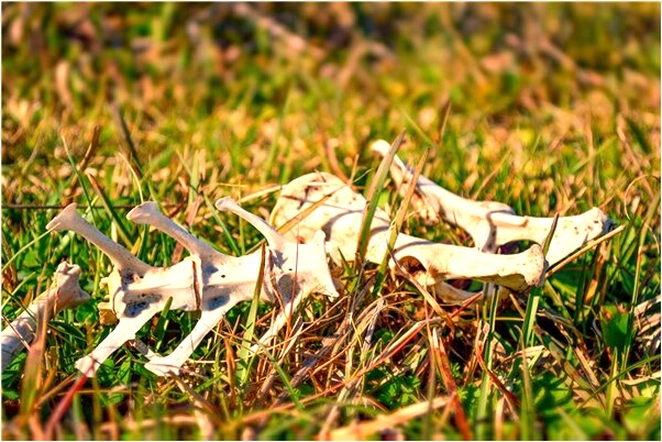 夢見男友手指受傷有何寓意_周公解夢官網