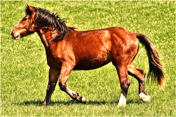 夢到了烏雲過來又很快散去是怎么回事_周公解夢官網