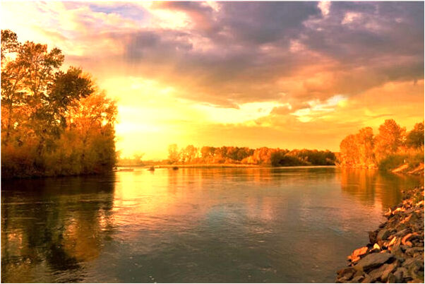 夢到雞雞變得很大怎么說_周公解夢官網