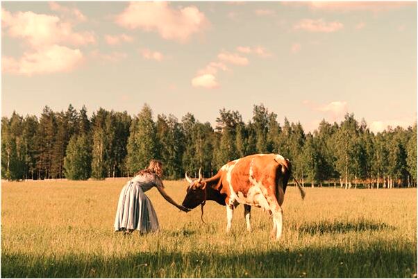 夢到死去的親人又下葬自己哭了預示了什麼_周公解夢官網