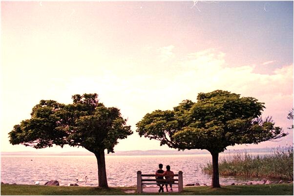 夢到了男人讓我摸他的生殖器有什麼說法_周公解夢官網