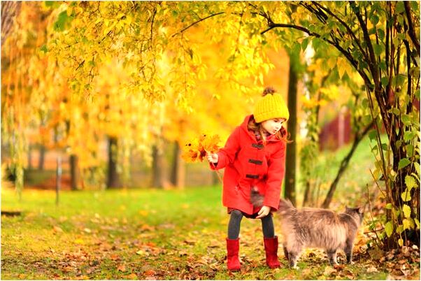 夢到了好朋友生了一場很重的病有什麼寓意嗎？_周公解夢官網